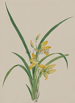 釀酒,水彩,畫