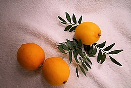 檸檬,柑橘,食品