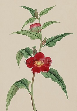 釀酒,水彩,畫