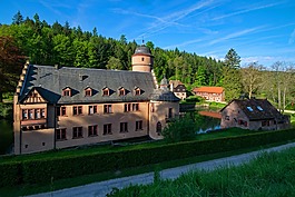 城堡,mespelbrunn,巴伐利亚