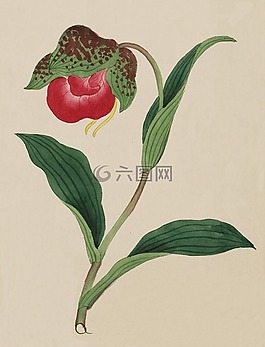 釀酒,水彩,畫