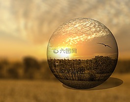 風(fēng)景,3d,樹