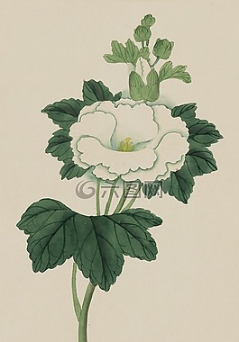 釀酒,水彩,畫