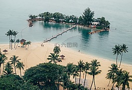 海,海洋,水