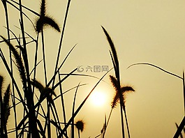 日出,季節(jié),天然