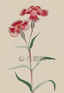 釀酒,水彩,畫