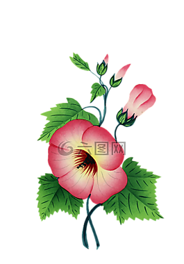 開(kāi)花,花,廠(chǎng)