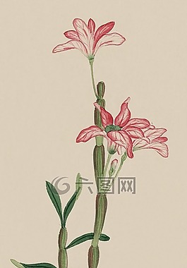 釀酒,水彩,畫(huà)