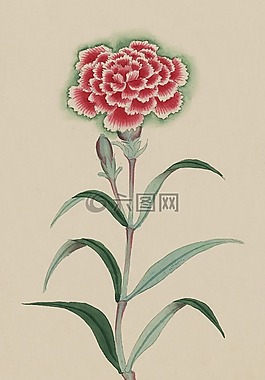 釀酒,水彩,畫(huà)