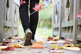叶,秋天,秋