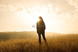草,自然,戶外