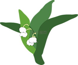 鈴蘭,植物,花