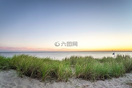 沙,綠色,草