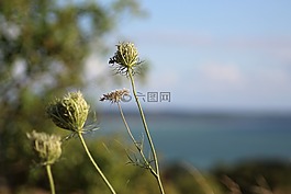 廠,宏,夏季
