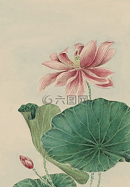 釀酒,水彩,畫
