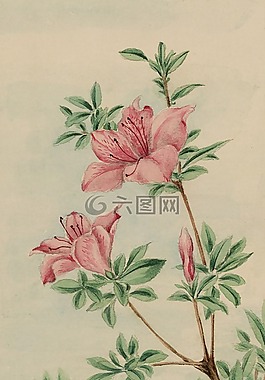 釀酒,水彩,畫