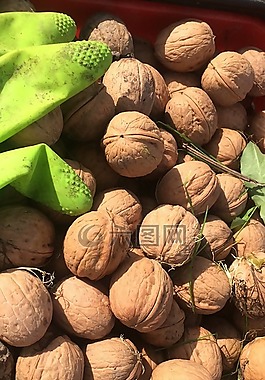 食品,健康,水果