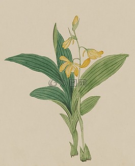 釀酒,水彩,畫