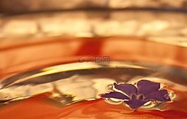 花,開花,水