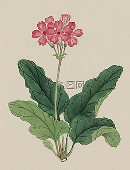釀酒,水彩,畫