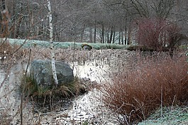 池塘,性質(zhì),水計(jì)劃