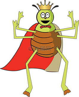 跳蚤,bug