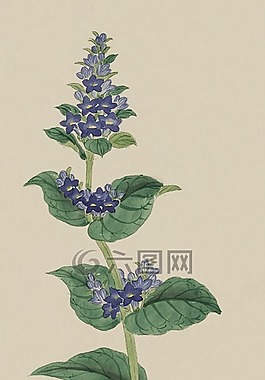 釀酒,水彩,畫