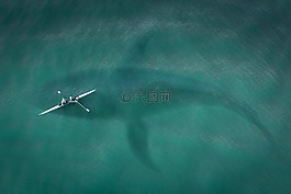 引導,從上面,頂視圖