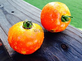 蕃茄,蔬菜,花園