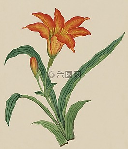釀酒,水彩,畫