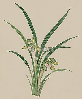 釀酒,水彩,畫