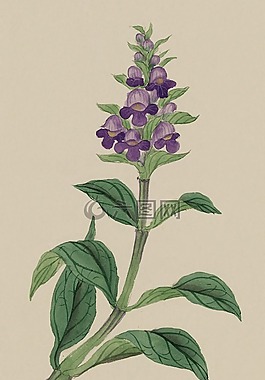 釀酒,水彩,畫