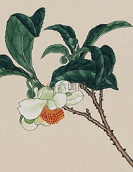 釀酒,水彩,畫