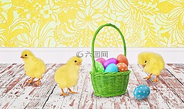 復(fù)活節(jié),小雞,復(fù)活節(jié)彩蛋