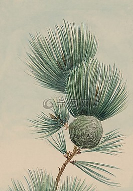 釀酒,水彩,畫(huà)