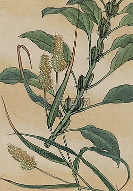釀酒,水彩,畫