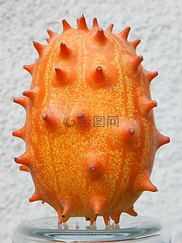 水果,橙,異國情調(diào)