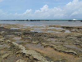 珊瑚礁,石头,海滩