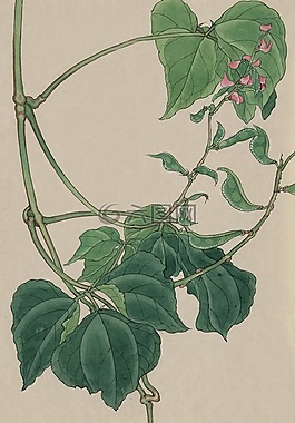 釀酒,水彩,畫(huà)