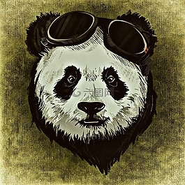 熊貓,動物,野生