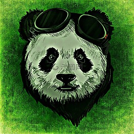 熊貓,動物,野生