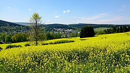 景觀,性質(zhì),夏季