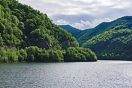 湖,水,綠色