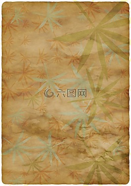 文具,植物群,纸