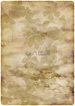 文具,植物群,纸