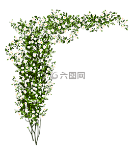 安排,鮮花,綠色