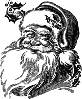 圣誕老人,圣誕,派對(duì)