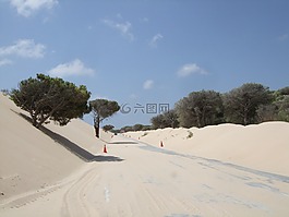 沙,路,自然