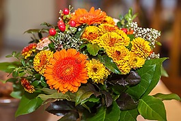 鮮花,花束,開花