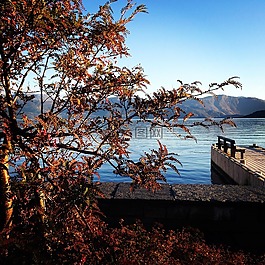 秋,山,挪威